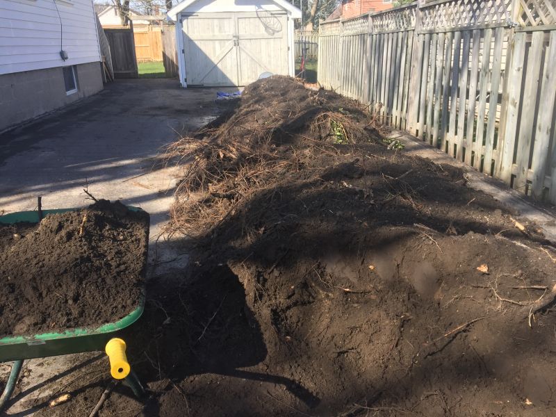 Backyard Regrading