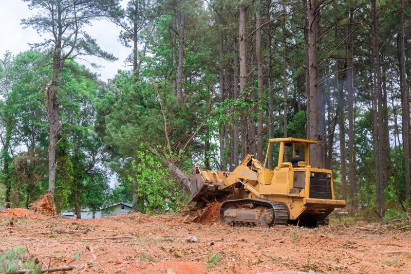 Bulldozing Service