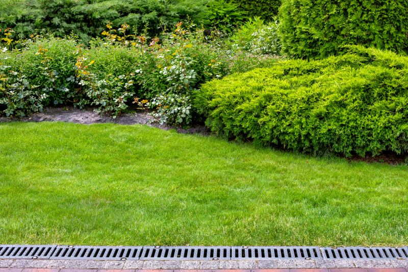 Drainage Grading Service