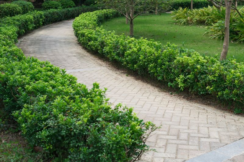 Loose Fill Paving Installation