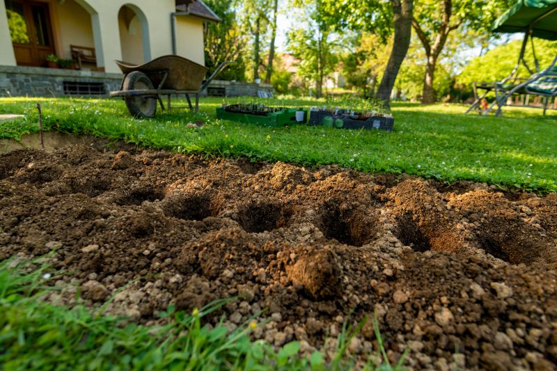 Topsoil Installation